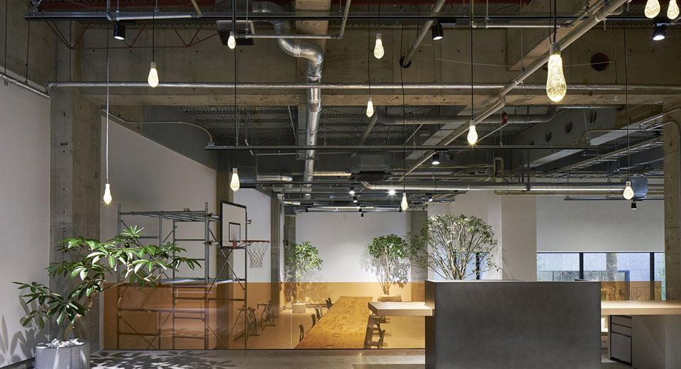 green-office-1 ВОЗДУХ В «ЗЕЛЕНОМ ОФИСЕ»
