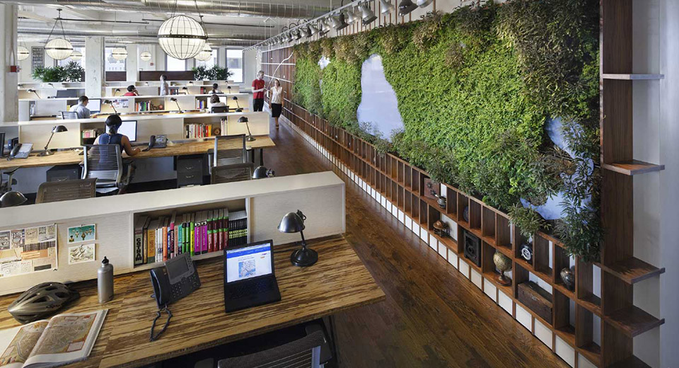 green-office-2 Оборудование для зеленых офисов